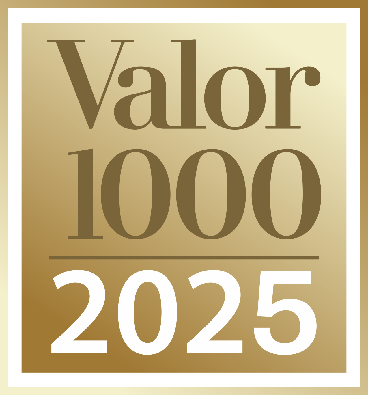 Valor 1000